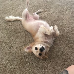 Meet your Posher, Vanessa